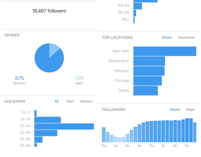 Instagram Insights 